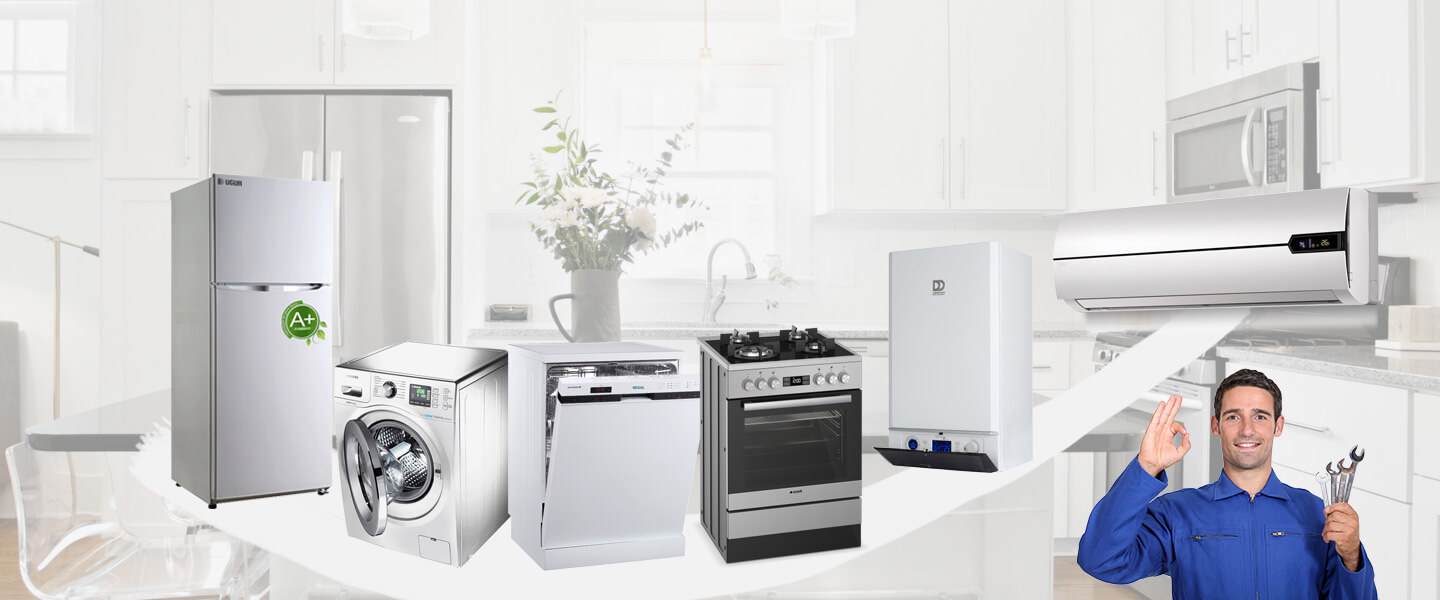 Boyalık Viessmann Servisi